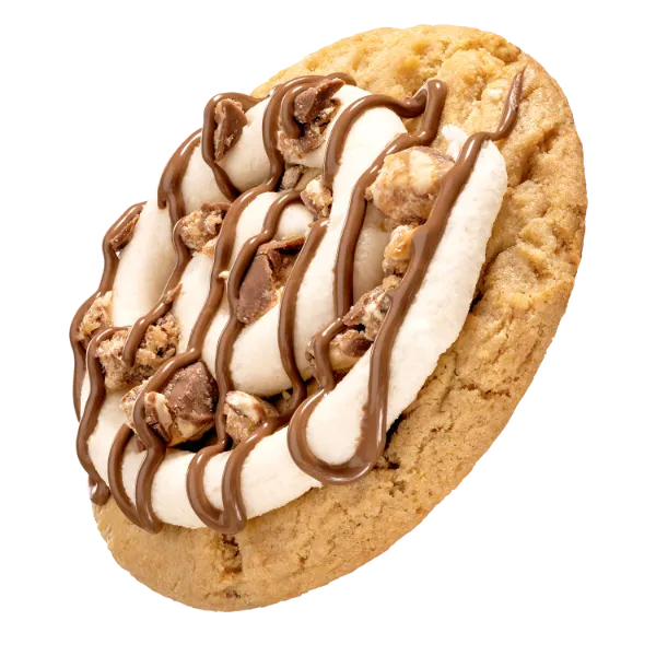 SNICKERS® Peanut Butter Cookie